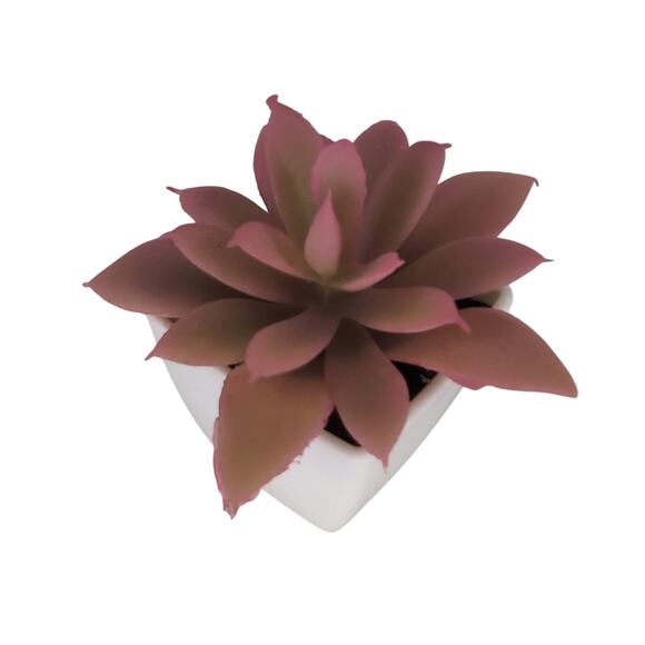 Mini Fake Faux Artificial Pink Succulent Potted Plant in Plastic White Pot - GUC - Picture 1 of 10